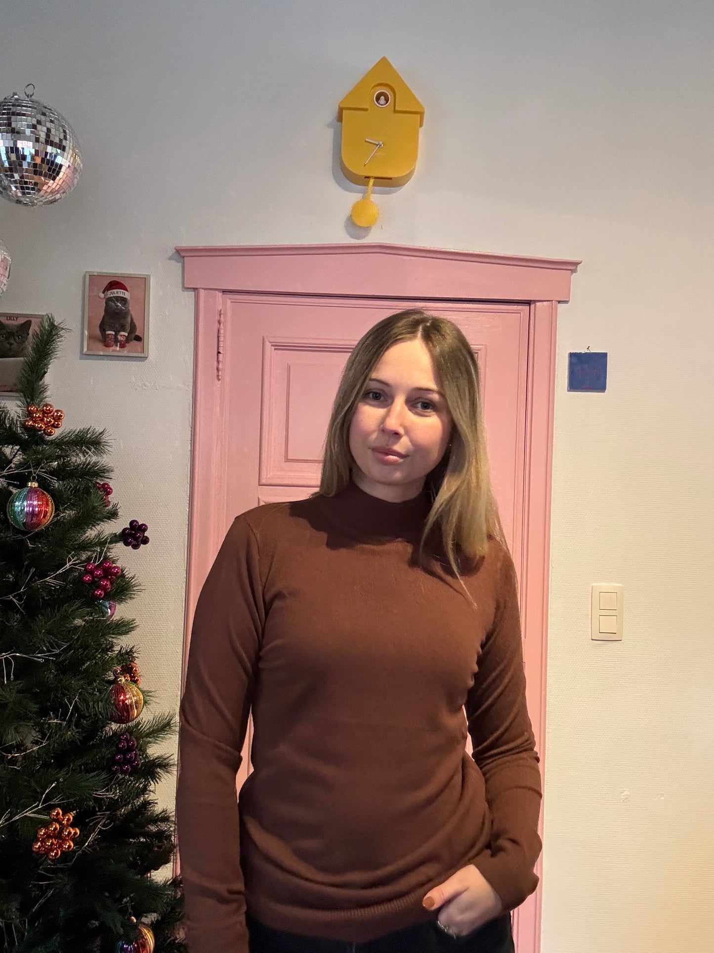 Juliette's turtle trui met cashmere - bruin