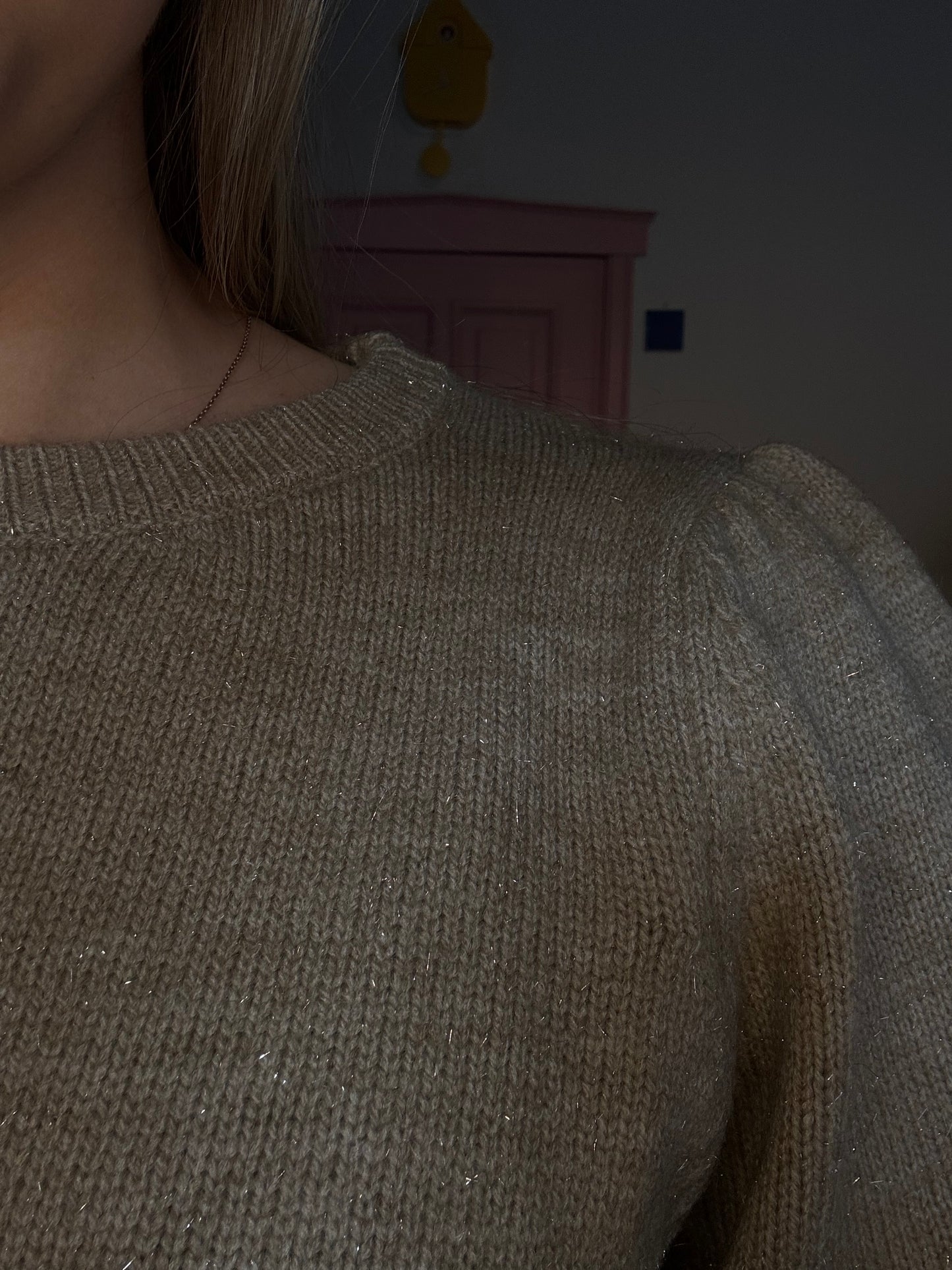 Fluresk - beige trui met glitters