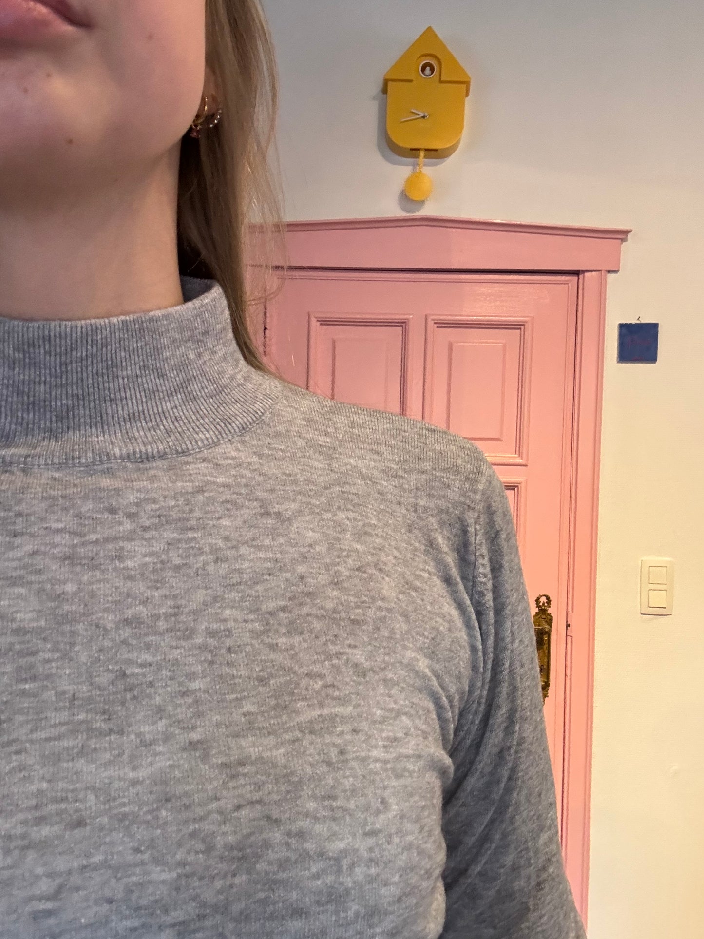 Juliette's turtle trui met cashmere - grijs